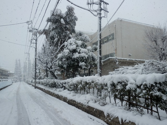 12.02.29  雪の日 31.jpg