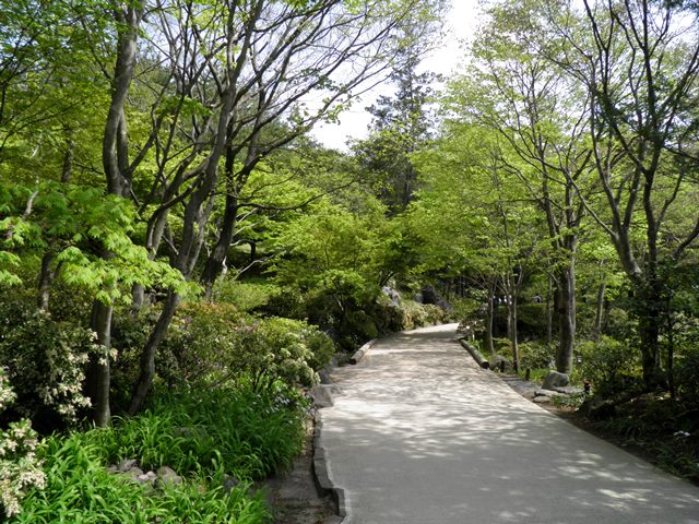 A13.04.18-31 日本庭園44.jpg